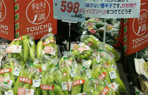 혈당 억제해 주는 ‘당조고추’, 일본도 관심