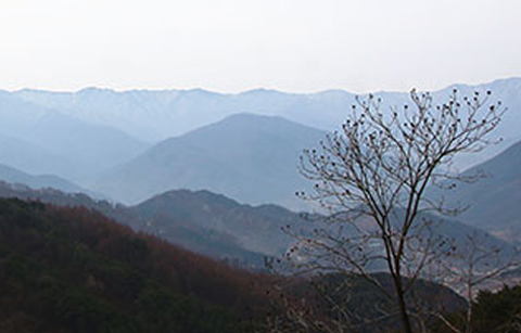 쌀쌀한 봄 시샘하는 지리산