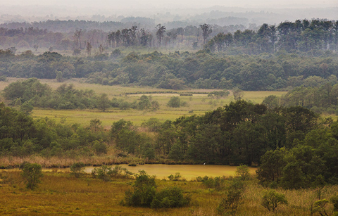 	궁예(弓裔) (재위 901-918)