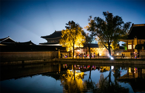 경복궁에서 만나는 여름 별빛