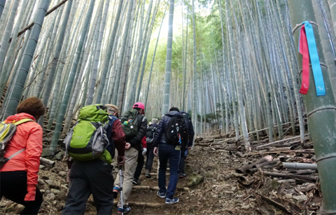 	세계로 이어지는 ‘제주 올레길’