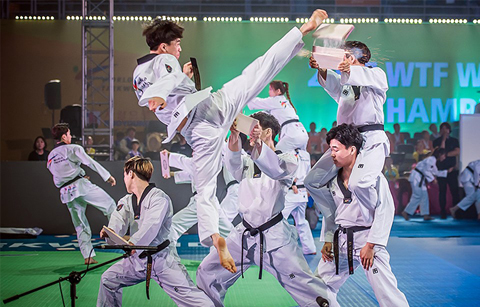 	태권도로 하나된 세계, ‘2017WTF태권도선수권대회’