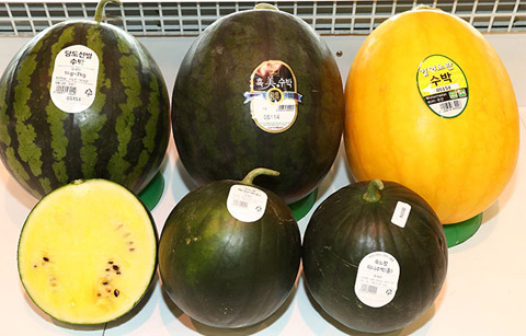 취향 따라 선택하는 '수박'