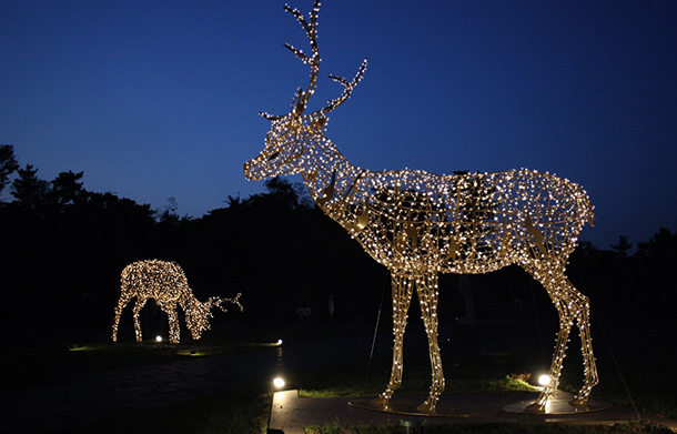 즐길 거리 풍성한 '제주도의 여름 밤'