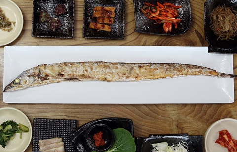 맛 좋고 영양도 풍부한 '제주 은갈치'