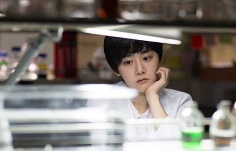 부산의 가을, 영화의 바다 속으로…