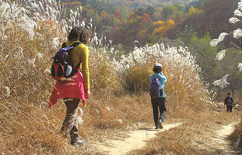 ‘올림픽 아리바우길’ 따라 걷는 ‘2018 평창’