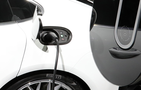 청정 강원도 손님맞이 준비 ‘한창’