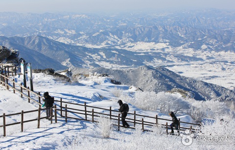 차가운 겨울바람 맞으며 즐기는 한국의 겨울