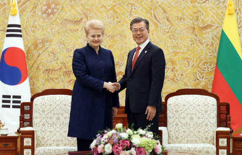 한·리투아니아 정상, 평창 계기 평화 지속 의지 강조