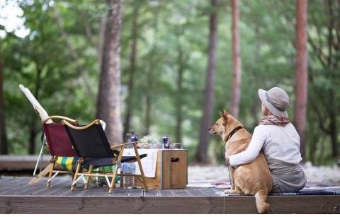 한국정부, 반려동물 문화 한층 강화