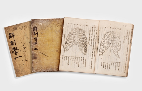 한글로 쓴 몸 이야기