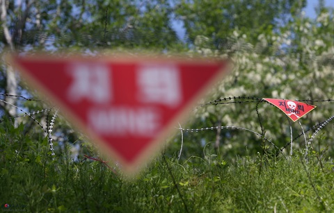 남북, 판문점 JSA∙철원 DMZ 지뢰 제거 시작