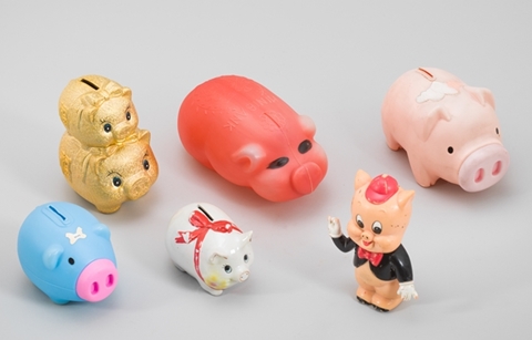 2019년, 복 부르는 돼지꿈 꾸세요