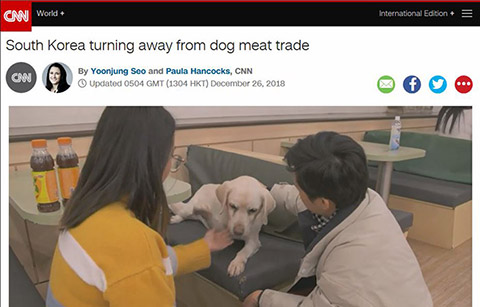 “개는 한국인에게 식용 아닌 가족” CNN 조명