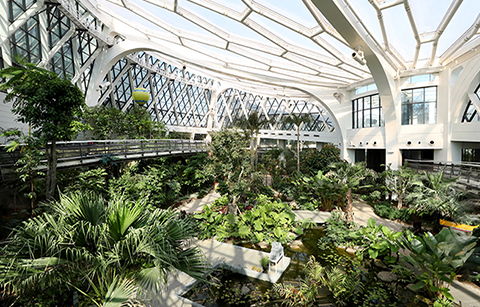 서울식물원에서 도심 속 ‘녹색 힐링’