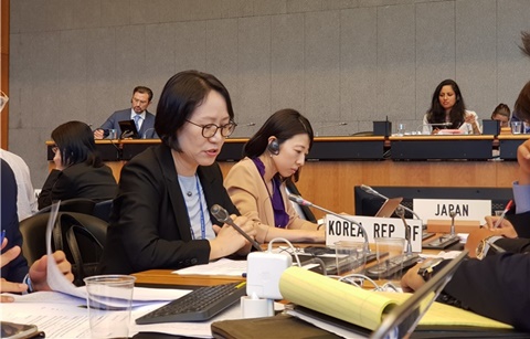 일본 수출규제, WTO 일반이사회 의제 상정