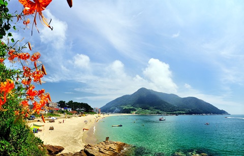 떠나자 한국의 섬으로!