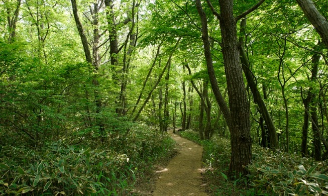 '2020년 여행주간' 6월과 11월 선정