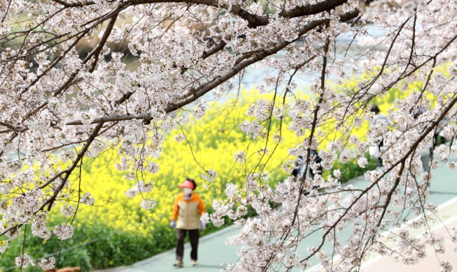 심리 방역으로 '코로나 블루' 이겨내세요