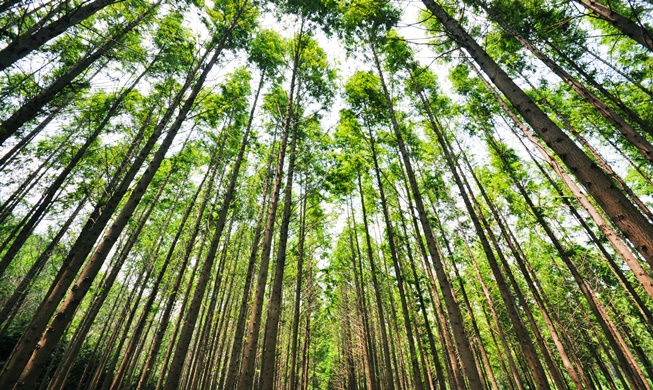 코로나19로부터 안전하고 시원하게···관광공사 선정 여름에 좋은 '언택트관광지 100선'