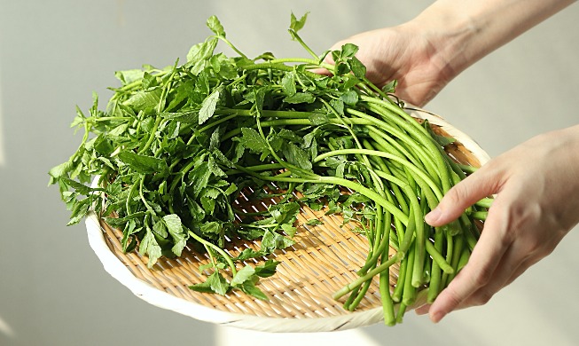 봄기운 가득, 한국인이 즐겨 먹는 봄나물