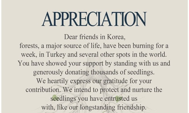 터키 환경단체, ‘김연경 묘목’에 한글로 감사인사