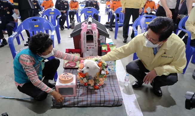 CNN “주인 구한 견공, 한국 최초 명예구조견 선정”