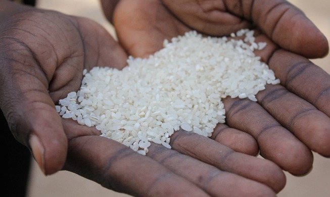 K-농업기술, 개도국 식량난 해결의 돌파구가 되다