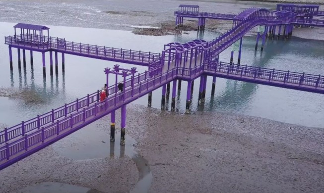 신안 퍼플섬·고창 고인돌 운곡습지마을 유엔 최우수 관광마을 선정