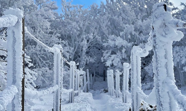 [명예기자단 하이라이트] 한국의 곳곳을 방문해보자
