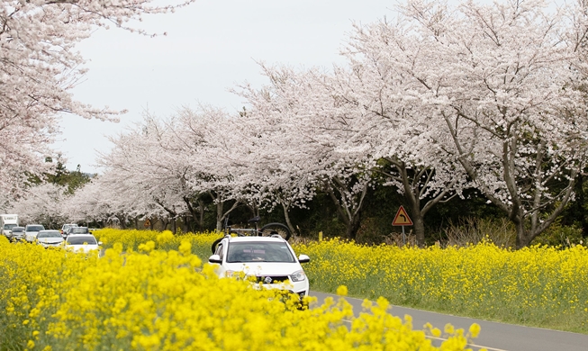 봄 여행 떠나볼까∙∙∙오늘부터 숙박할인권 100만장 발급