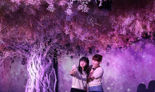 [사진으로 보는 한국] 우리나라 사계절 담은 미디어아트 전시