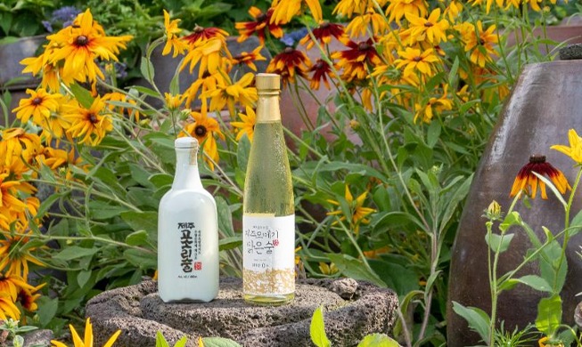 제주 오메기맑은술, 어머니의 향과 애환을 담다