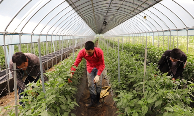 외국인 계절 근로자 인권 보호 강화된다
