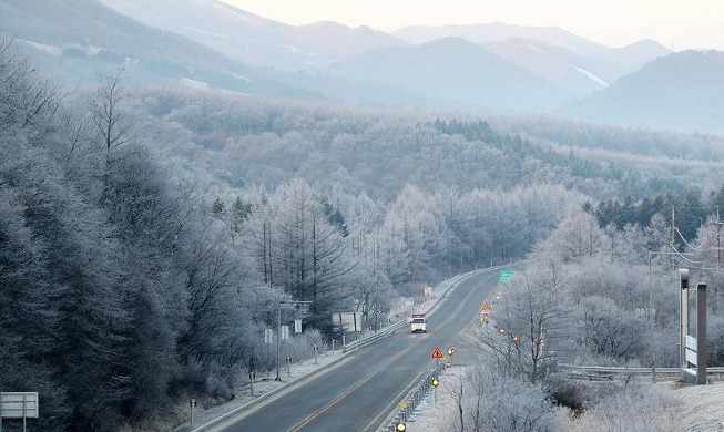 [사진으로 보는 한국] 대관령은 아직 겨울
