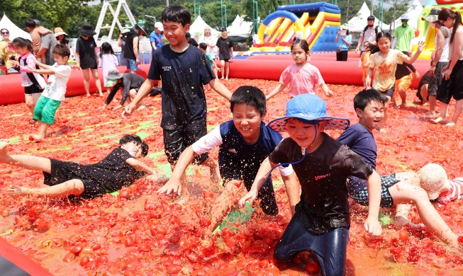 [사진으로 보는 한국] 퇴촌 토마토 축제