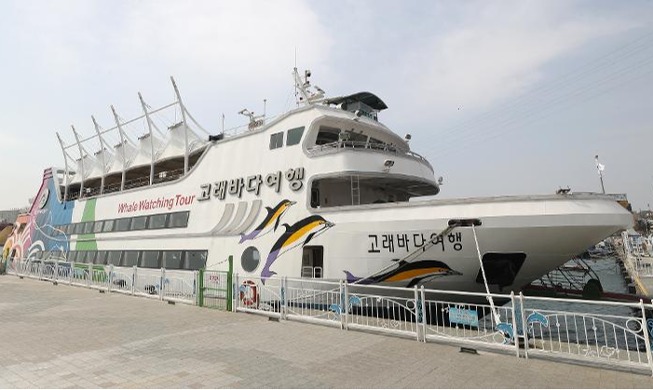 “고래 보러 오세요”···관광 선박 정기 운항