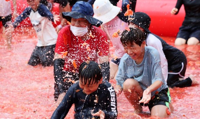[사진으로 보는 한국] '토마토 풀장에 숨겨진 금반지를 찾아라'