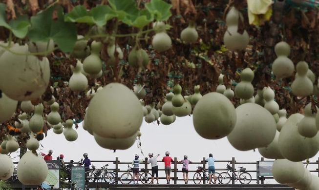 [사진으로 보는 한국] '잠시 쉬어갑니다'