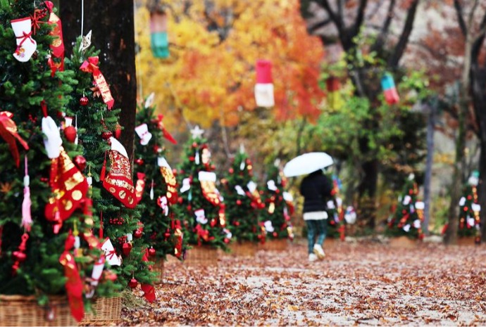 [사진으로 보는 한국] 가을의 끝자락