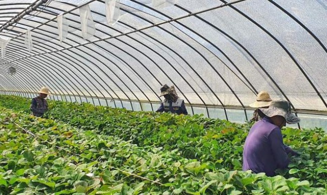 정부, 외국인 계절근로자 업무 범위 확대 추진···체류기간 연장도