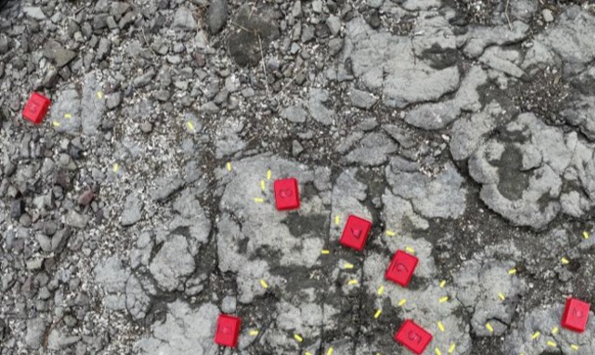 내년부터 공룡골격화석 발굴·연구 본격화