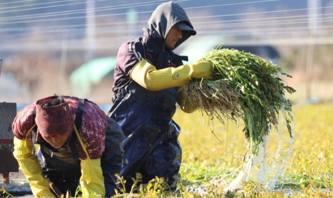 내년 비전문 외국인력 20만 7000명 도입