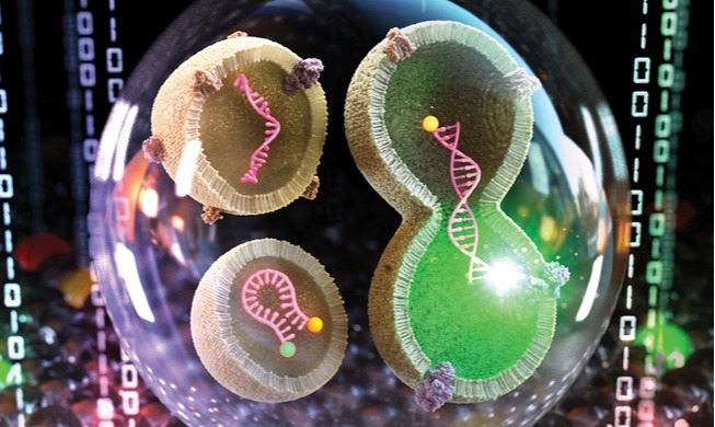 한국 연구진, 혈액 몇 방울로 폐암 조기 진단 기술 개발