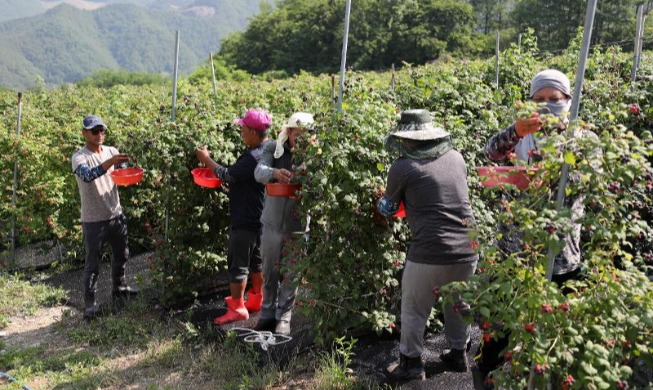 인구소멸지역 외국인 유입 확대···법무부, '지역특화형 비자' 운영
