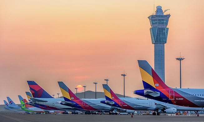 '신속하고 편리하게'···외국인 온라인 입국신고 시행