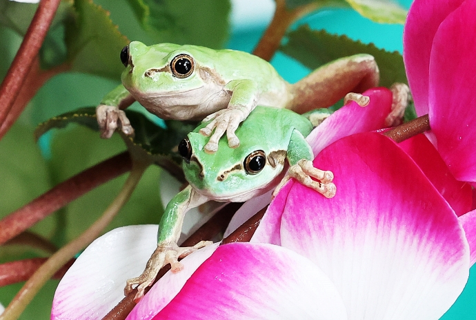 [사진으로 보는 한국] 하루 앞으로 다가온 경칩