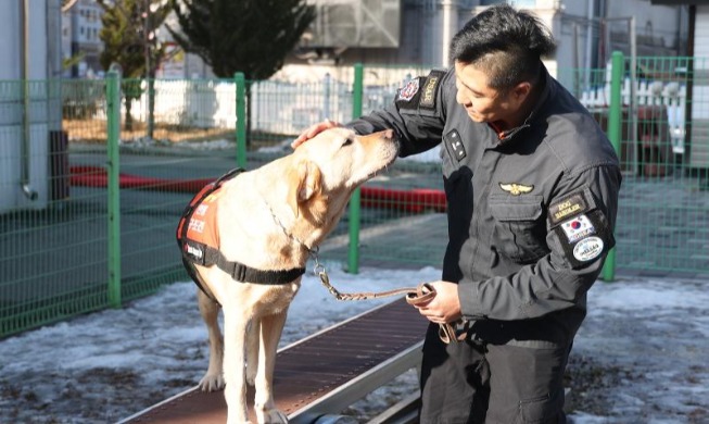 ‘더 다양하고 똑똑하게’···검역본부, 국가동물보호정보시스템 고도화