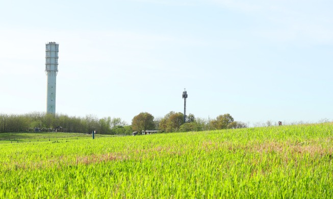 쓰레기 산에서 피어난 생명의 노래···생태공원으로 부활한 난지도